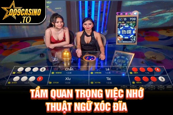 Tầm quan trọng việc nhớ thuật ngữ xóc đĩa 